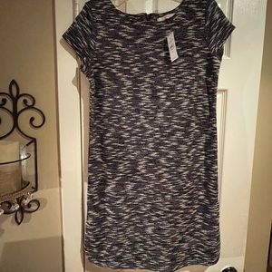 Ann Taylor loft shift dress NWT